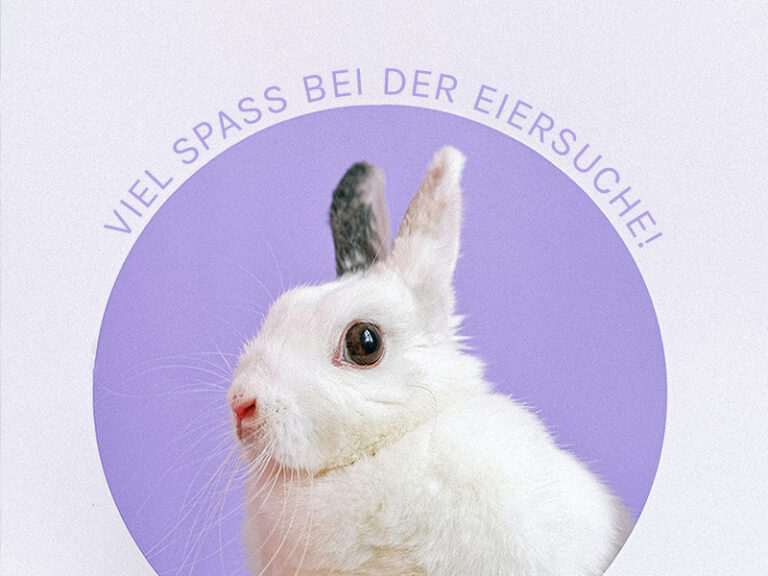 Hase